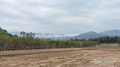 ขายที่ดินทำเลทอง หน้าติดถนน 4 เลน–หลังติดคลองบ้านนา ช่วงคลองกว้างมาก ทางเข้าออกง่าย ถมเต็มแปลงแล้ว ระดับเสมอถนน - รูปที่ 3