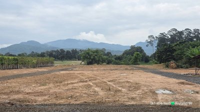 ขายที่ดินทำเลทอง หน้าติดถนน 4 เลน–หลังติดคลองบ้านนา ช่วงคลองกว้างมาก ทางเข้าออกง่าย ถมเต็มแปลงแล้ว ระดับเสมอถนน - รูปที่ 2