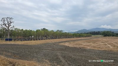 ขายที่ดินทำเลทอง หน้าติดถนน 4 เลน–หลังติดคลองบ้านนา ช่วงคลองกว้างมาก ทางเข้าออกง่าย ถมเต็มแปลงแล้ว ระดับเสมอถนน - รูปที่ 6