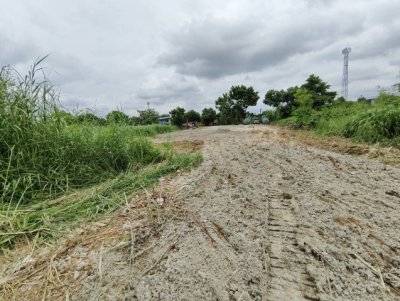ขายที่ดิน 3ไร่ 1งาน 78ตรว. เลียบทางด่วนบางปะอิน-ปากเกร็ด สามโคก ปทุม - รูปที่ 4