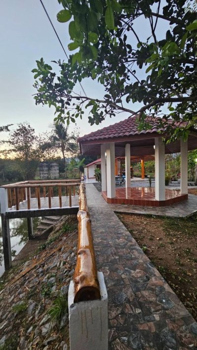 ขายที่ดินสวนพร้อมบ้าน และบ่อปลา 4.5 ไร่ อ.ลอง จ.แพร่ (พร้อมเข้าอยู่) บังกาโล 1 นอน ตกแต่งด้วยไม้สักแท้ สภาพใหม่พร้อมอยู่ - รูปที่ 3
