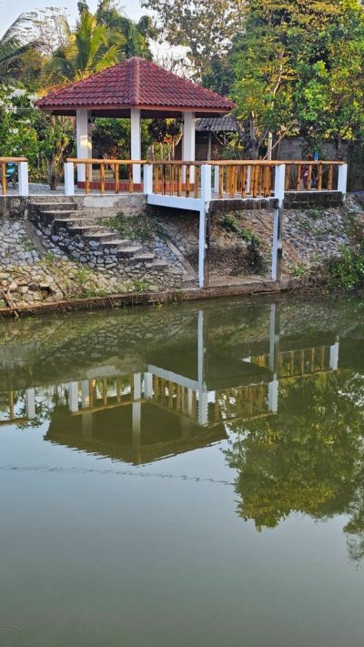 ขายที่ดินสวนพร้อมบ้าน และบ่อปลา 4.5 ไร่ อ.ลอง จ.แพร่ (พร้อมเข้าอยู่) บังกาโล 1 นอน ตกแต่งด้วยไม้สักแท้ สภาพใหม่พร้อมอยู่ - รูปที่ 2