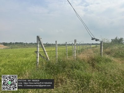 ให้เช่าที่ดินเปล่าถมแล้ว ทำเลดี แปลงใหญ่ ติดถนนทางหฃวงชนบท ใกล้ชุมชน ลาดหลุมแก้ว ปทุมธานี - รูปที่ 4