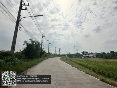 ให้เช่าที่ดินเปล่าถมแล้ว ทำเลดี แปลงใหญ่ ติดถนนทางหฃวงชนบท ใกล้ชุมชน ลาดหลุมแก้ว ปทุมธานี - รูปที่ 6