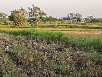ขายที่ดินติดลำน้ำคลองสามไร่ ใกล้ถนนเลี่ยงเมือง 290 เพียง 200 เมตร - รูปที่ 2