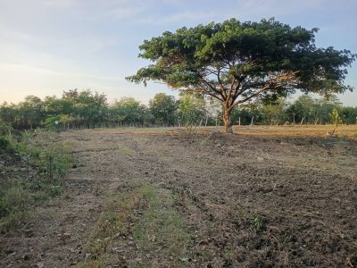 ขายที่ดินติดลำน้ำคลองสามไร่ ใกล้ถนนเลี่ยงเมือง 290 เพียง 200 เมตร - รูปที่ 5