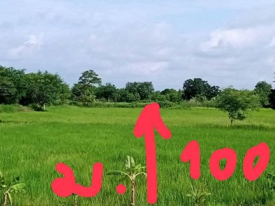 ขายที่ดินติดลำน้ำคลองสามไร่ ใกล้ถนนเลี่ยงเมือง 290 เพียง 200 เมตร - รูปที่ 3