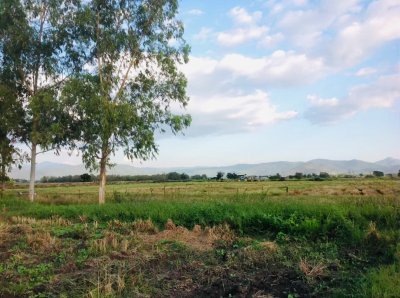ขายที่ดิน 25 ไร่ วิวสวย ใกล้สำนักงานเทศบาลแม่ปูคา สันกำแพง จ.เชียงใหม่ - รูปที่ 2