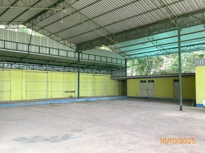 ขายโกดัง พื้นที่รวม 6-1-18 ไร่ อำเภอ ย่านตาขาว จังหวัด ตรัง - รูปที่ 5