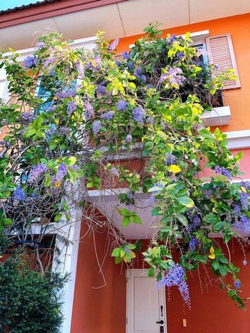 บ้านเดี่ยว โครงการ Boulevard Tuscany ชะอำหัวหิน บรรยากาศเป็นส่วนตัว ราคาดีที่สุดในโครงการ - รูปที่ 5