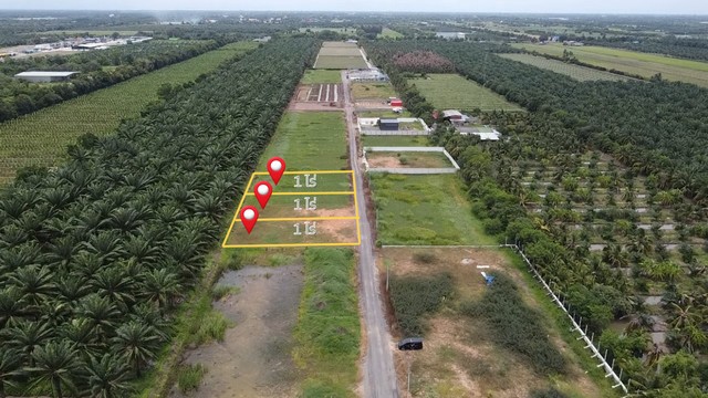 ขายที่ดินบ้านสวน คลอง 9 ปทุมธานี แปลงสวย 1 ไร่เต็ม เริ่มเพียง 1.89 ล้าน (ใกล้ตลาดคลอง 8 วิลล่า)
