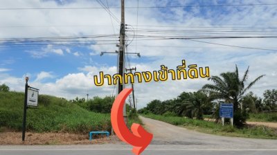 ขายที่ดินบ้านสวน คลอง 9 ปทุมธานี แปลงสวย 1 ไร่เต็ม เริ่มเพียง 1.89 ล้าน (ใกล้ตลาดคลอง 8 วิลล่า) - รูปที่ 4