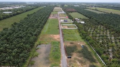 ขายที่ดินบ้านสวน คลอง 9 ปทุมธานี แปลงสวย 1 ไร่เต็ม เริ่มเพียง 1.89 ล้าน (ใกล้ตลาดคลอง 8 วิลล่า) - รูปที่ 3