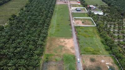 ขายที่ดินบ้านสวน คลอง 9 ปทุมธานี แปลงสวย 1 ไร่เต็ม เริ่มเพียง 1.89 ล้าน (ใกล้ตลาดคลอง 8 วิลล่า) - รูปที่ 2