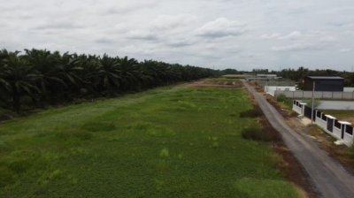 ขายที่ดินบ้านสวน คลอง 9 ปทุมธานี แปลงสวย 1 ไร่เต็ม เริ่มเพียง 1.89 ล้าน (ใกล้ตลาดคลอง 8 วิลล่า) - รูปที่ 5