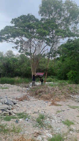 ขายที่ดินทำเลศักยภาพ เมืองระยอง เนื้อที่ 6 ไร่ 3 งาน 62 ตร.วาทำเลดี ใกล้โรงเรียนอัสสัมชัญระยอง  เหมาะสำหรับนักลงทุนและผู้ประกอบการ - รูปที่ 8