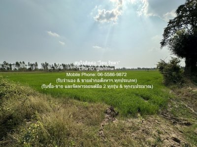 DSL-1030 ขาย ที่ดิน //ต่ำกว่าราคาประเมิน//ขายที่ดินทุ่งนาข้าว อ.นครหลวง จ.พระนครศรีอยุธยา 17-0-76 ไร่ 17 ไร่ 6876 ตร.วา ชั้นทั้งหมด 1 ชั้น - รูปที่ 5
