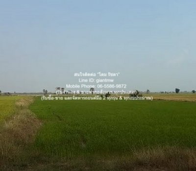 DSL-1030 ขาย ที่ดิน //ต่ำกว่าราคาประเมิน//ขายที่ดินทุ่งนาข้าว อ.นครหลวง จ.พระนครศรีอยุธยา 17-0-76 ไร่ 17 ไร่ 6876 ตร.วา ชั้นทั้งหมด 1 ชั้น - รูปที่ 7