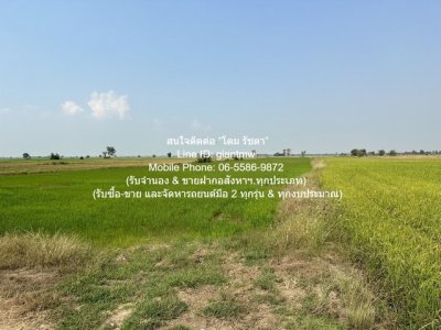 DSL-1030 ขาย ที่ดิน //ต่ำกว่าราคาประเมิน//ขายที่ดินทุ่งนาข้าว อ.นครหลวง จ.พระนครศรีอยุธยา 17-0-76 ไร่ 17 ไร่ 6876 ตร.วา ชั้นทั้งหมด 1 ชั้น - รูปที่ 8