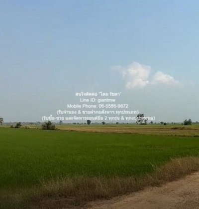 DSL-1030 ขาย ที่ดิน //ต่ำกว่าราคาประเมิน//ขายที่ดินทุ่งนาข้าว อ.นครหลวง จ.พระนครศรีอยุธยา 17-0-76 ไร่ 17 ไร่ 6876 ตร.วา ชั้นทั้งหมด 1 ชั้น - รูปที่ 4