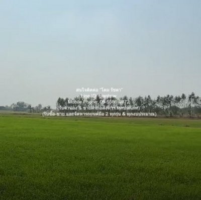 DSL-1030 ขาย ที่ดิน //ต่ำกว่าราคาประเมิน//ขายที่ดินทุ่งนาข้าว อ.นครหลวง จ.พระนครศรีอยุธยา 17-0-76 ไร่ 17 ไร่ 6876 ตร.วา ชั้นทั้งหมด 1 ชั้น - รูปที่ 6