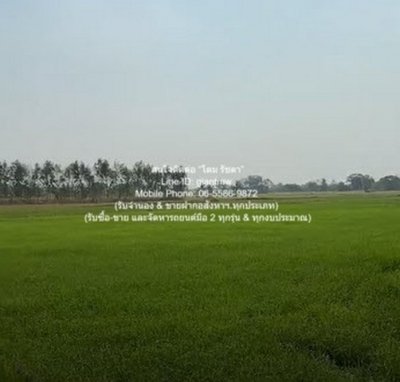 DSL-1030 ขาย ที่ดิน //ต่ำกว่าราคาประเมิน//ขายที่ดินทุ่งนาข้าว อ.นครหลวง จ.พระนครศรีอยุธยา 17-0-76 ไร่ 17 ไร่ 6876 ตร.วา ชั้นทั้งหมด 1 ชั้น - รูปที่ 3