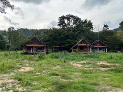 ให้เช่าที่ดินบางพระศรีราชาชลบุรี ขายและให้เช่าที่ดิน 25-1-52 ไร่ พร้อมสิ่งปลูกสร้าง พื้นที่สีเหลือง  ใกล้ถนนมอเตอร์เวย์ หมายเลข7 - รูปที่ 3