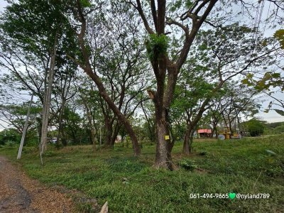 โอ้โห ลดไปล้านกว่า ที่สวยติดน้ำล่องแก่ง ต.สาริกา อ.เมืองนครนายก 2 ไร่ 3 งาน 76 ตรว. รูปที่สี่เหลี่ยมผืนผ้าสวย ติดทางสาธารณะ 2 ด้าน - รูปที่ 4