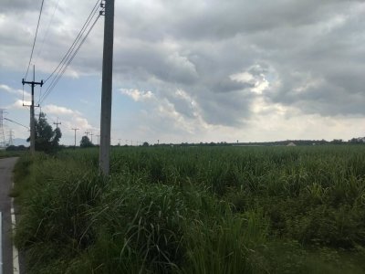 ขายที่ดิน – ทำเลศักยภาพ เหมาะสำหรับการพัฒนา ตำบลท่าบุญมี อำเภอเกาะจันทร์ จังหวัดชลบุรี ประเทศไทย - รูปที่ 6