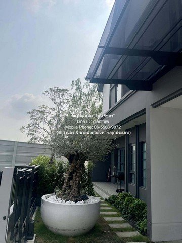 DSL-929 ขาย บ้าน ขายบ้านเดี่ยวหรู 2 ชั้น (หลังมุม) พร้อมผู้เช่า ม.เซนโทร บางนา (Centro Bangna) ใกล้ Mega บางนา 77 ตร.ว. 4 น 5 น้ำ 3 จอดรถ - รูปที่ 8
