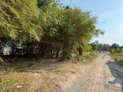 ขายที่ดินศรีราชา นาพร้าว แปลงสวย ซอยลุงเทิ้ม ใกล้แหล่งชุมชน FP-L02437 - รูปที่ 8