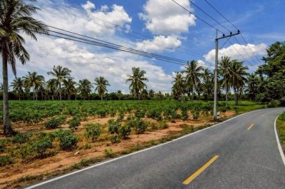 ขายที่ดินทำเลดี ใกล้โรงเรียนนานาชาติรีเจนท์ พัทยา ราคาสุดพิเศษ FP-L02434