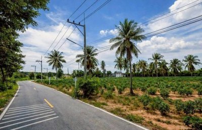 ขายที่ดินทำเลดี ใกล้โรงเรียนนานาชาติรีเจนท์ พัทยา ราคาสุดพิเศษ FP-L02434 - รูปที่ 3