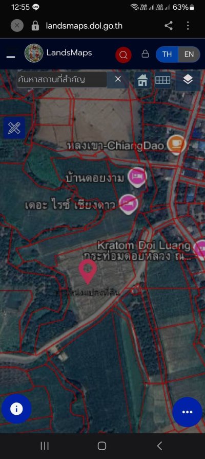 ขายที่ดินอำเภอเชียงดาว จังหวัดเชียงใหม่ เนื้อที่ 6 ไร่ 1 งาน 82 ตารางวา - รูปที่ 2