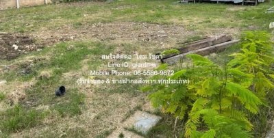DSL-924.2 ขาย ที่ดิน ขายที่ดินเปล่าถมแล้ว และมีรั้วแล้ว (ใกล้ตลาดเวิลด์มาร์เก็ต) 100 ตร.ว. ราคา 3 ล้านบาท   กรุงเทพ ทวีวัฒนา    ใกล้กับ - รูปที่ 3