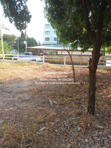 DSL-921 ขาย ที่ดิน ขายที่ดินเปล่าถมแล้ว ซ.ลาดพร้าว 94 (ตรงข้ามห้างอิมพิเรียล เวิลด์ ลาดพร้าว) 88 ตร.ว. ราคา 15 ล้านบาท (โอนฟรี)  กรุงเทพ 88 - รูปที่ 3