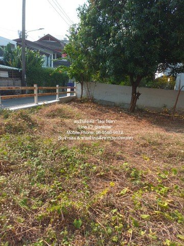 DSL-921 ขาย ที่ดิน ขายที่ดินเปล่าถมแล้ว ซ.ลาดพร้าว 94 (ตรงข้ามห้างอิมพิเรียล เวิลด์ ลาดพร้าว) 88 ตร.ว. ราคา 15 ล้านบาท (โอนฟรี)  กรุงเทพ 88 - รูปที่ 2