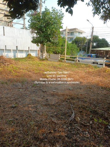 DSL-921 ขาย ที่ดิน ขายที่ดินเปล่าถมแล้ว ซ.ลาดพร้าว 94 (ตรงข้ามห้างอิมพิเรียล เวิลด์ ลาดพร้าว) 88 ตร.ว. ราคา 15 ล้านบาท (โอนฟรี)  กรุงเทพ 88 - รูปที่ 5