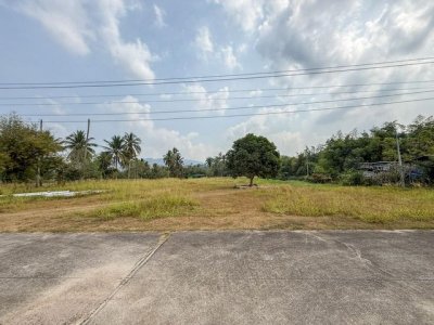 ขายที่ดินบ้านโค้งดารา หนองขาม ศรีราชา แปลงสวย ติดลำธารธรรมชาติ FP-L02443 - รูปที่ 8