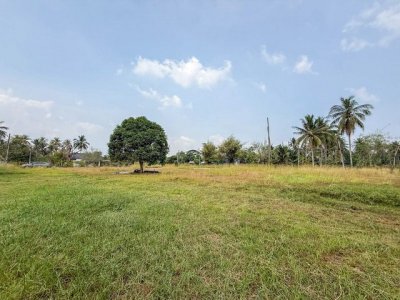ขายที่ดินบ้านโค้งดารา หนองขาม ศรีราชา แปลงสวย ติดลำธารธรรมชาติ FP-L02443 - รูปที่ 5