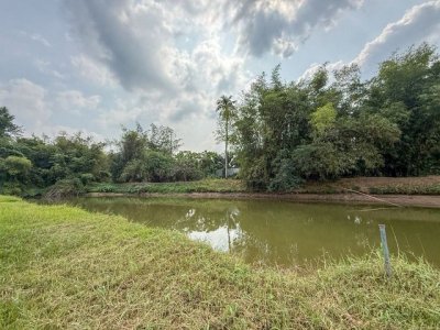 ขายที่ดินบ้านโค้งดารา หนองขาม ศรีราชา แปลงสวย ติดลำธารธรรมชาติ FP-L02443 - รูปที่ 2