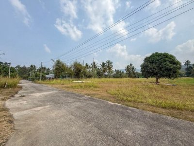 ขายที่ดินบ้านโค้งดารา หนองขาม ศรีราชา แปลงสวย ติดลำธารธรรมชาติ FP-L02443 - รูปที่ 7