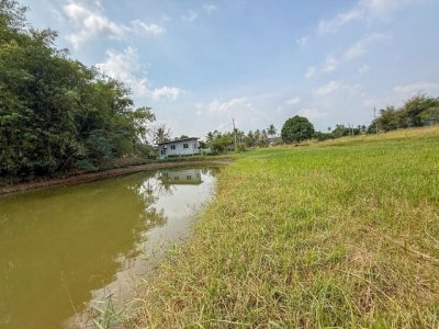 ขายที่ดินบ้านโค้งดารา หนองขาม ศรีราชา แปลงสวย ติดลำธารธรรมชาติ FP-L02443 - รูปที่ 4