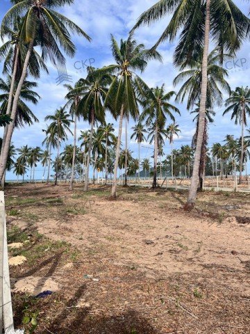 L260017 | ที่ดินเปล่า ติดหาดสามร้อยยอด เพียง 30 เมตร ไม่ไกลถนนใหญ่ ใกล้สถานที่ท่องเที่ยว - รูปที่ 6