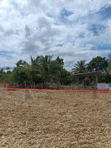L260017 | ที่ดินเปล่า ติดหาดสามร้อยยอด เพียง 30 เมตร ไม่ไกลถนนใหญ่ ใกล้สถานที่ท่องเที่ยว - รูปที่ 5