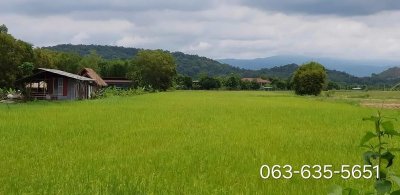 ถูกสุดในย่านนี้ ที่สวย วิวเขาล้อมรอบ แถมติดรีสอร์ต ย่านสาริกา อยู่หลังตลาดเท่ง ประมาณ 3.3 กม. - รูปที่ 4