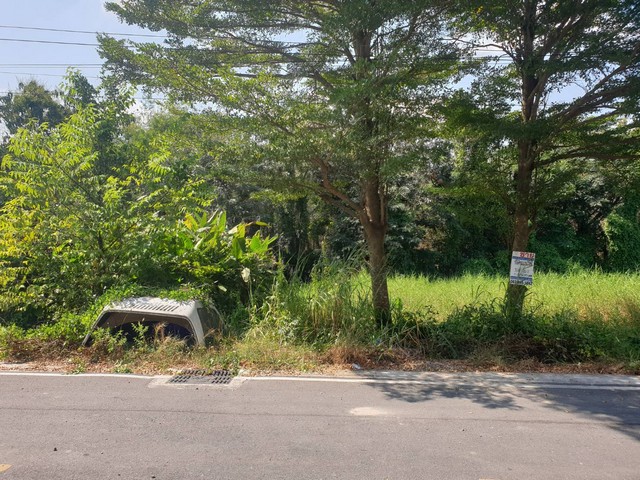 ทดคุณต้นคลอง8 ขาย ที่ดิน - ปทุมธานี    1000000 บาท