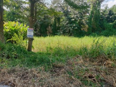 ทดคุณต้นคลอง8 ขาย ที่ดิน - ปทุมธานี    1000000 บาท - รูปที่ 6