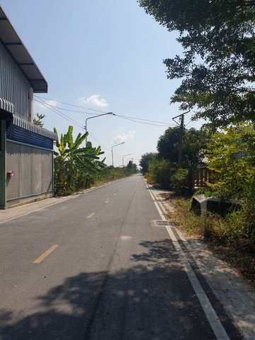 ทดคุณต้นคลอง8 ขาย ที่ดิน - ปทุมธานี    1000000 บาท - รูปที่ 4