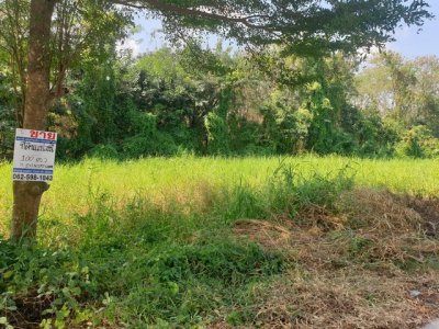 ทดคุณต้นคลอง8 ขาย ที่ดิน - ปทุมธานี    1000000 บาท - รูปที่ 3